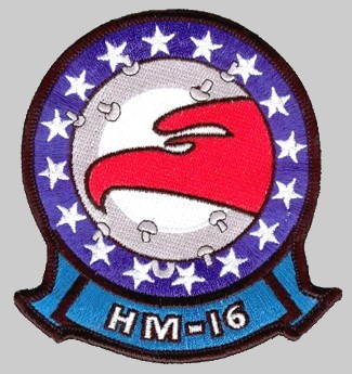 HM-16-Seahawks-insignia-02
